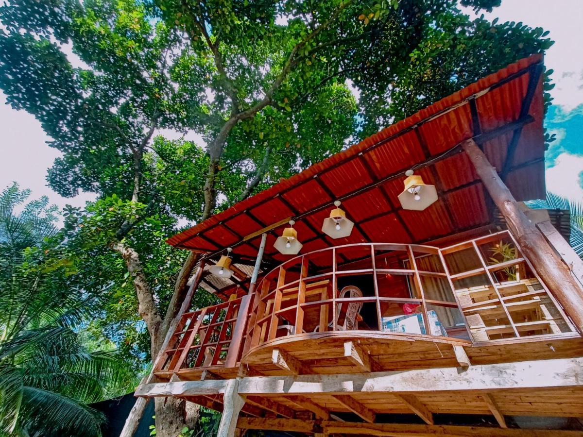 Experience The Comforts Of An Amazing Treehouse Sigiriya Dış mekan fotoğraf