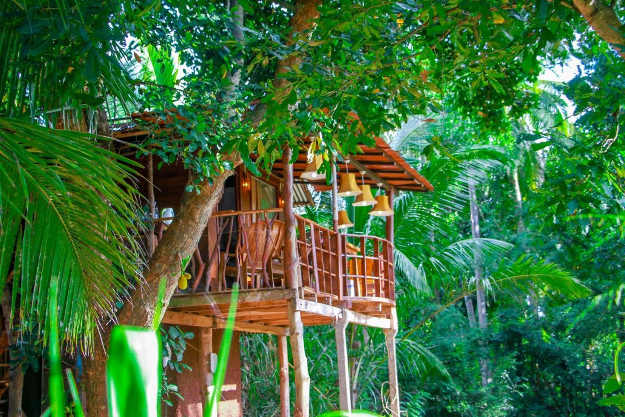 Experience The Comforts Of An Amazing Treehouse Sigiriya Dış mekan fotoğraf